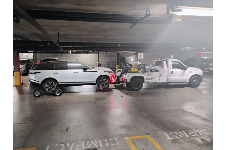 Bunny towing service image 3