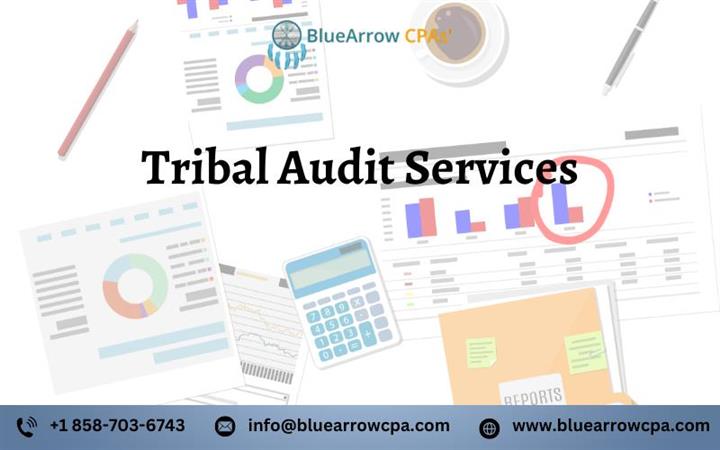 Best Tribal Audit Services image 1