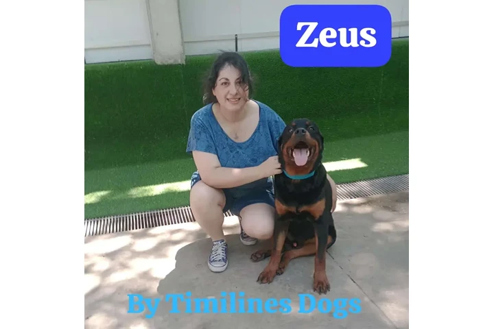 $25000 : Timilines AdiestramientoCanino image 9