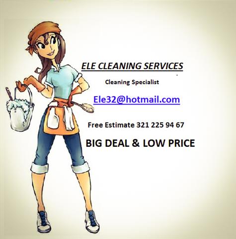 Ele cleaning services image 2