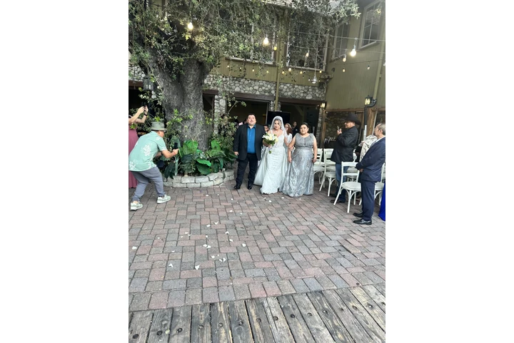 Matrimonios civiles image 6