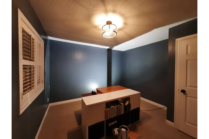 Professional Painting Service image 7