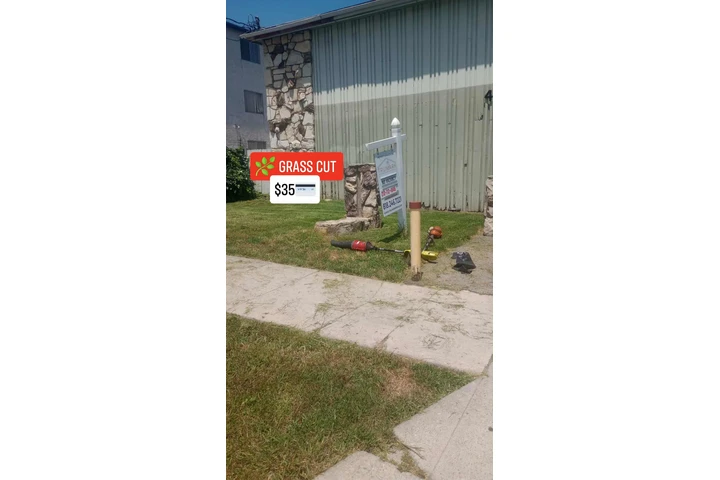 Corte de pasto 🌿👷🏼 image 7