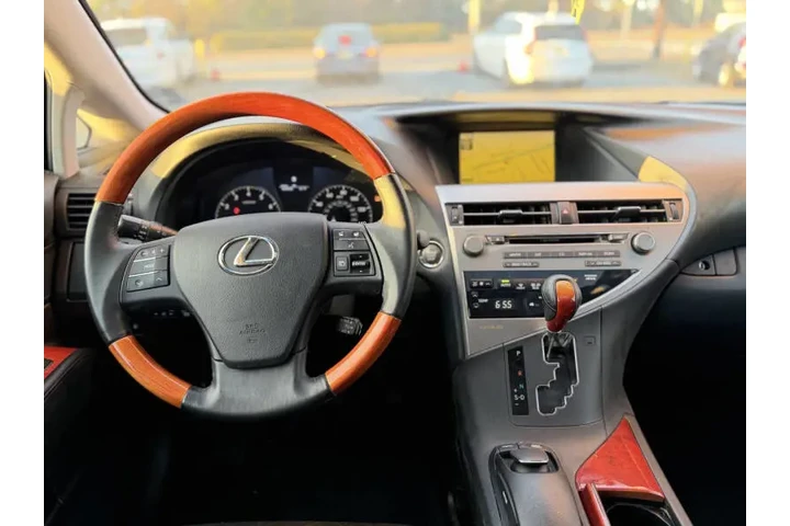 2010 RX 350 image 10