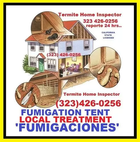 FUMIGACION TERMITA-PLAGA 24/7 image 2