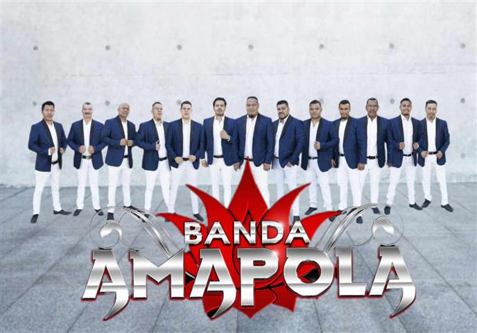 BANDA AMAPOLA 323 303 8484 image 1