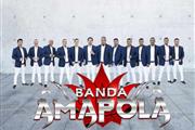 BANDA AMAPOLA 323 303 8484