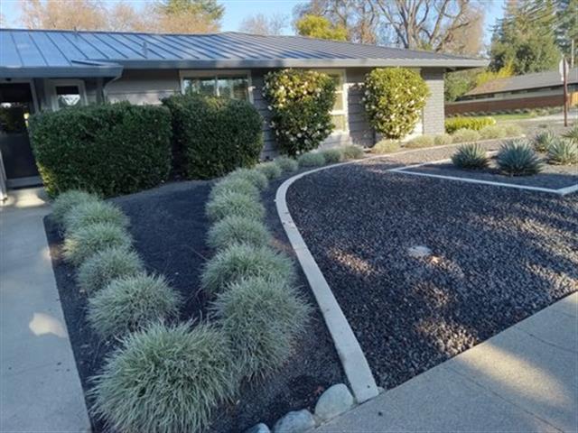 Amazing landscaping services! image 1
