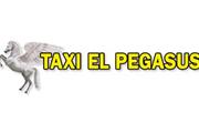 Taxi El Pegasus