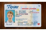 DMV LICENCIAS ONLINE thumbnail