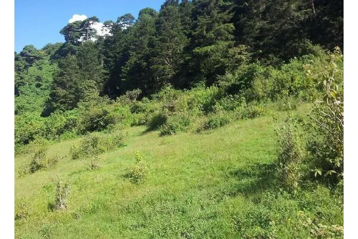 $822206 : TERRENO EN VENTA EN VISTA HERM image 2