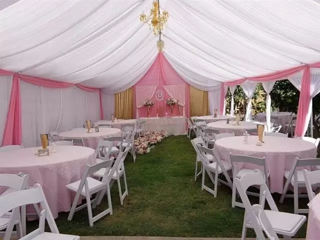 Carpascondraping backdrops image 1