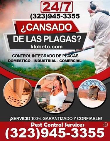 Control Plagas 24/7. image 9