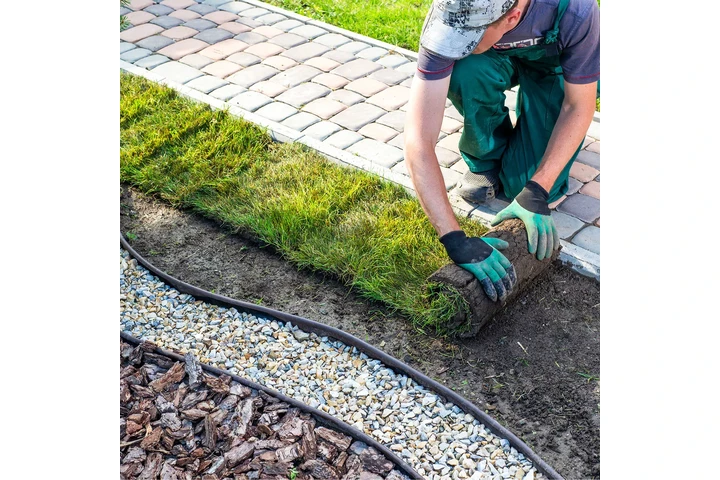 Expertos en Jardinería image 4