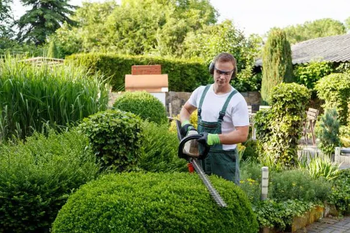 Contratista de Jardinería image 1