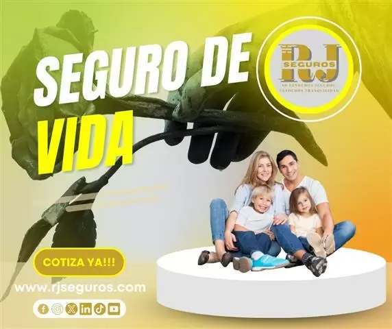 Broker de Seguros en Ecuador image 6