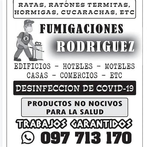 Fumigaciones Rodríguez image 2