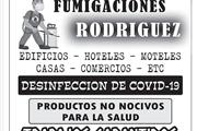 Fumigaciones Rodríguez thumbnail 2