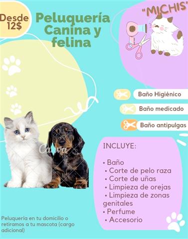 $12 : PELUQUERIA CANINA Y FELINA image 2