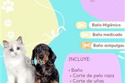 $12 : PELUQUERIA CANINA Y FELINA thumbnail