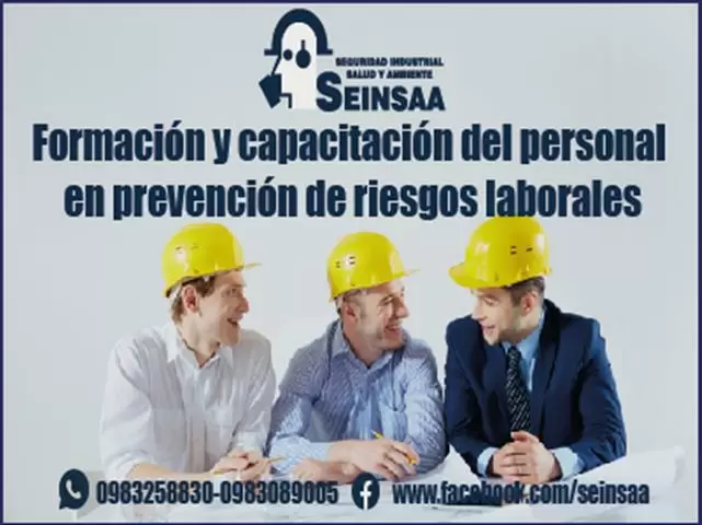 seinsaa image 1
