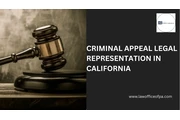Criminal Appeal Legal