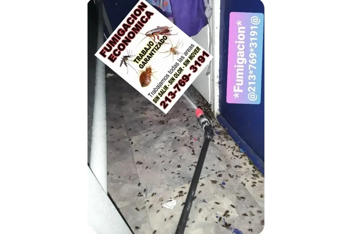 FUMIGACION BARATA 2137693191 image 4