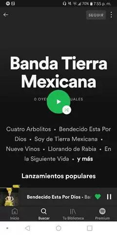 Te gustaría tener tu corrido? image 3