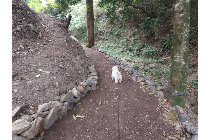 $299444 : Salitral Costa Rica Land Sale image 7