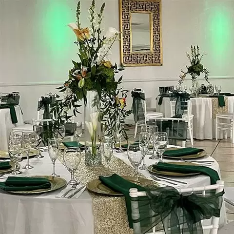 SALÓN DE FIESTAS image 8
