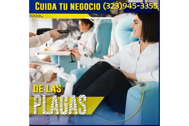 PEST CONTROL SERVICES image 5