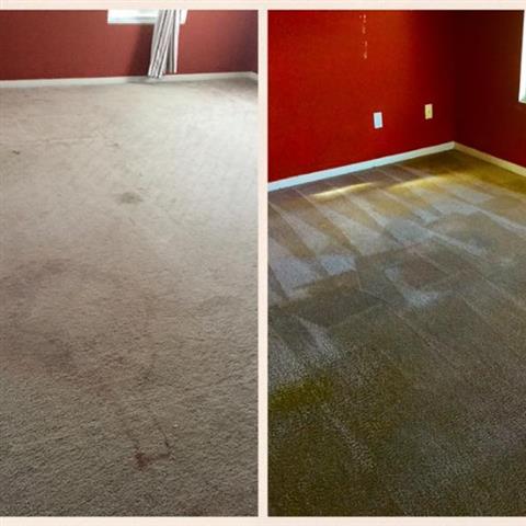 FLORES CARPET CLEANING image 3