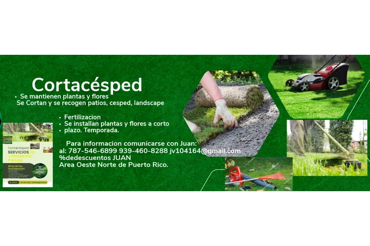 Cortacesped image 1