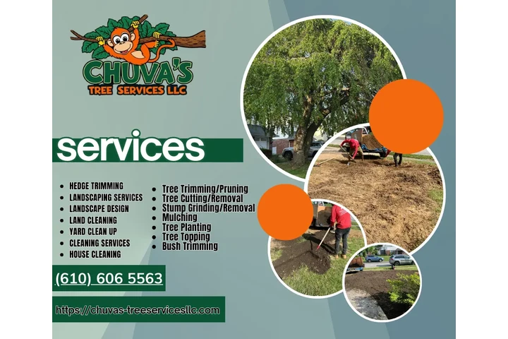Servicio de Tree service image 3
