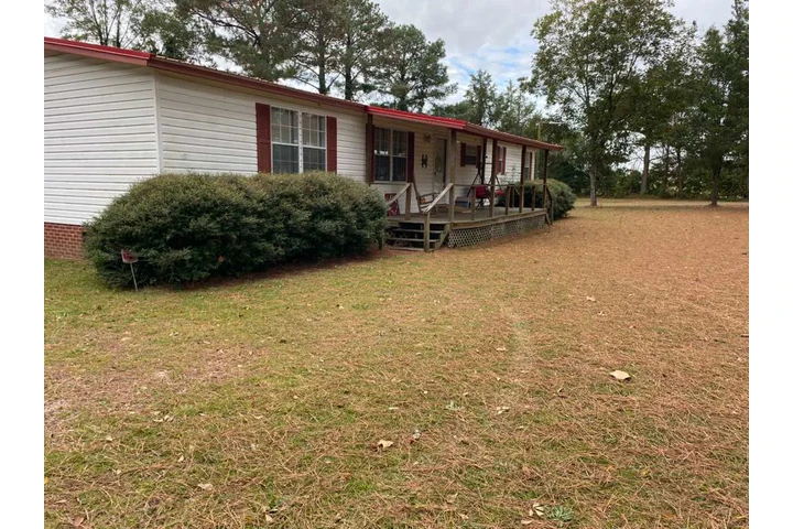 Professional Tree services image 8