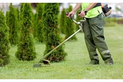 Contratista de Jardinería thumbnail