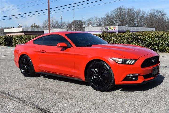 2016 Mustang EcoBoost image 2