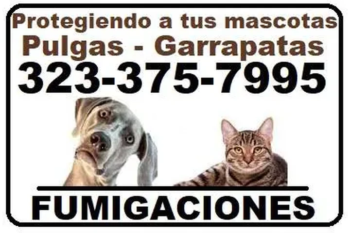FUMIGACIONES GARANTIZADAS.24/7 image 3