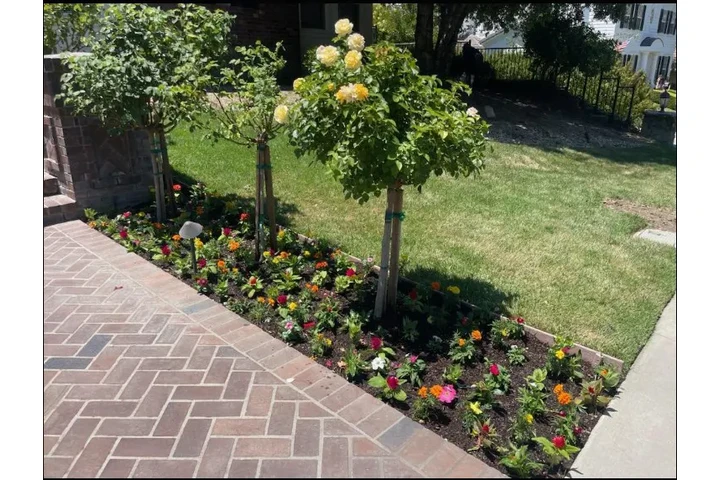 🌄 Expertos en Landscaping image 8