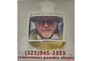 24/7 BEE REMOVAL SERVICE 100%