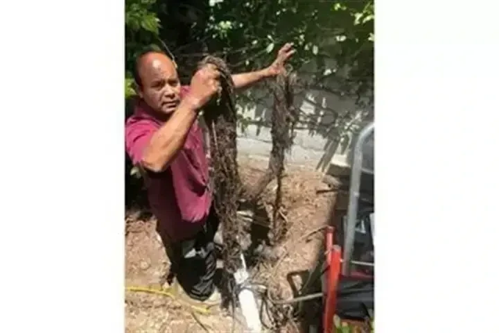 RUNNING PLIMBING 714-465-5768 image 8