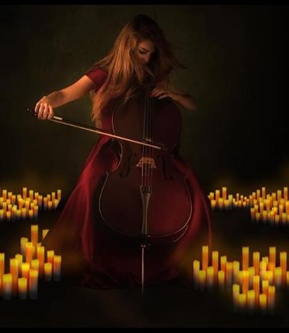 Vienna Light Orchestra image 3