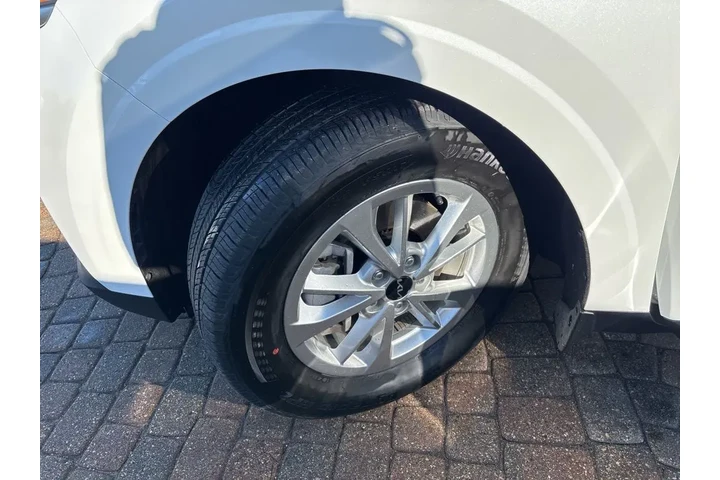 2023 Carnival LX image 10