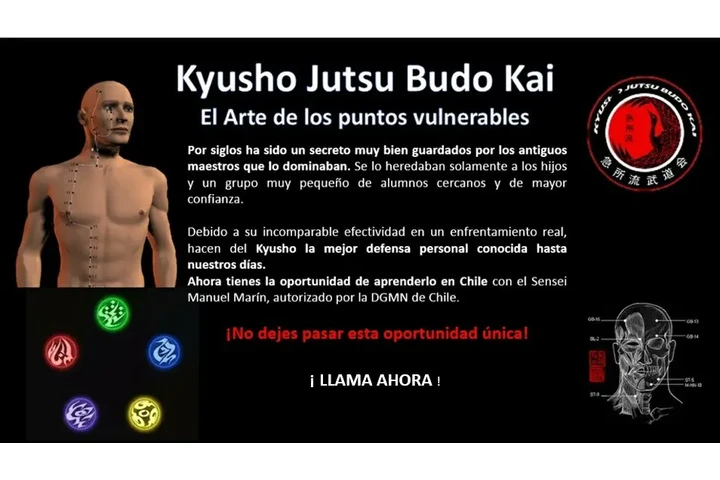 Boxeo, karate no competencia image 5