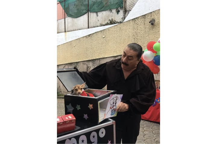 Show NAVIDEÑO, FIN DE AÑO, ETC image 7