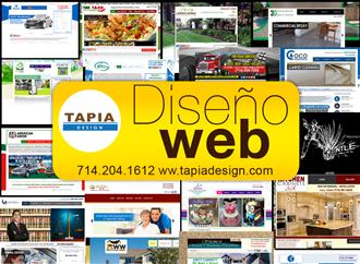 #1 en Diseñador de Paginas Web image 2