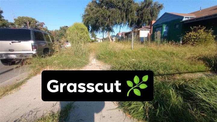 Grasscut 🌿👷🏻🏡 $35 image 5