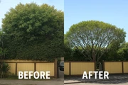 Garden services thumbnail