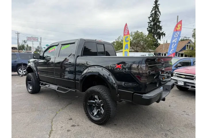 $12995 : 2010 F-150 FX4 image 7