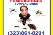 PEST CONTROL.(323)861-8201 en Los Angeles